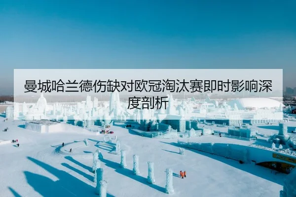 man-cheng-ha-lan-de-shang-que-dui-ou-guan-tao-tai-sai-ji-shi-ying-xiang-shen-du-pou-xi-2-579.jpg