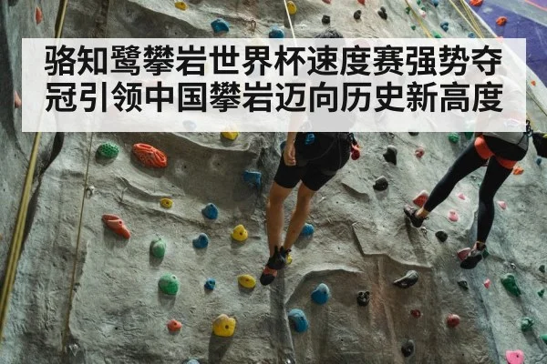 climbing wall training