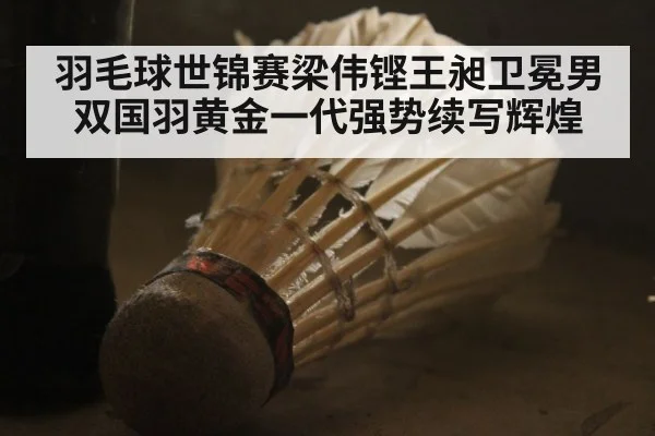 羽毛球世锦赛梁伟铿王昶卫冕男双国羽黄金一代强势续写辉煌