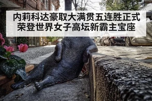 内莉科达豪取大满贯五连胜正式荣登世界女子高坛新霸主宝座